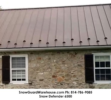 Levis 6500 Snow Defender